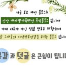 백운면 임진로 전북 네이버블로그
