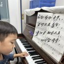 용인대 참샘 태권도 이미지