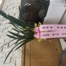 2025 경남 사립 합격수기 이미지