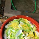 순수농장 이미지