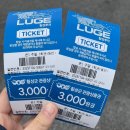 UR(원주시)-[천사로]-상-59 | 강원도 횡성 당일치기 여행, 루지 체험장 액티비티