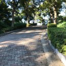 예당관광지 B-야영장 이미지