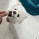 행복만줄개 이미지