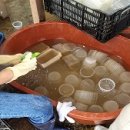 샬롬농원 이미지