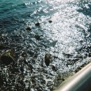 물빛 당구장 이미지