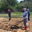 충호농장 이미지