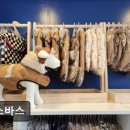 멍스바스 이미지