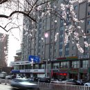 장백산로 이미지