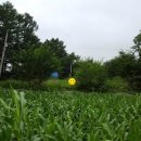 정선공인중개사사무소 이미지