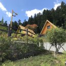 축령산금빛휴양타운 이미지