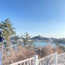 장호비치캠핑장 | 삼척 캠핑 장호비치캠핑장 이용후기