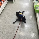 병현목장 이미지