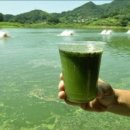 연성축산 이미지