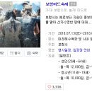 하와이모텔 이미지