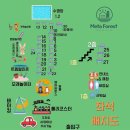 토레스트 이미지