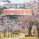 여울공원 | 동탄 여울공원 벚꽃명소 주차장 개화현황 실시간 후기
