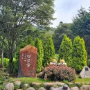 쑥섬이야기 | 전남 보성 윤제림 & 고흥 쑥섬 여행 후기