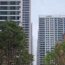 포레온서울약국 이미지