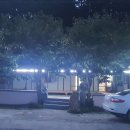 금강송계곡민박 이미지