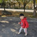 입장백약국 이미지
