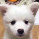 일상약국 이미지