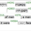 H2483 네이버블로그