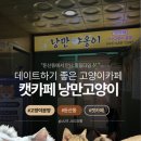 캣카페 낭만고양이 이미지