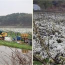 서기마을회관 이미지