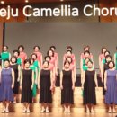 제주여자중학교 이미지