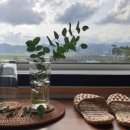 장흥힐링펜션 이미지