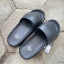 스폰지캐럿 이미지