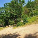 금산식당 이미지