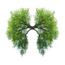 성누가병원 이미지