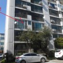 덕진-123 이미지