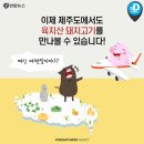 웰컴투제주