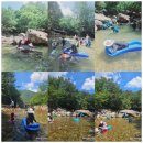 사지목나무그늘 이미지