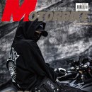 할리월드 333 이미지