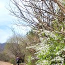 용담면행정복지센터 이미지