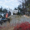 포레스트 카라반 랜드 이미지