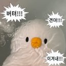 대구 샐러드 정기배송 간편한 식단관리를 원한다면 쌤푸드 배송 후기 내돈내산