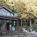 화인애견 네이버블로그