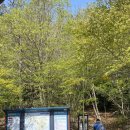 오소재약수터 이미지