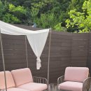 스테이시루 이미지