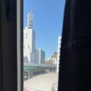 오빠가 데리러 갈 개 네이버블로그