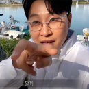 분식씨 이미지
