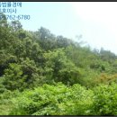 내서읍146 이미지