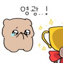 임덕민복싱클럽 이미지