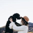 가온동물병원 이미지