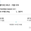 [결혼준비-06] 신혼여행 - 비행기 이미지