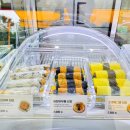 병아리김밥동아대부민점